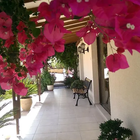 Apartment Droushia Holiday