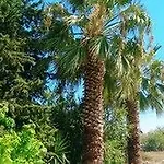 Droushia Holiday