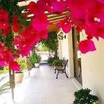 Apartment Droushia Holiday